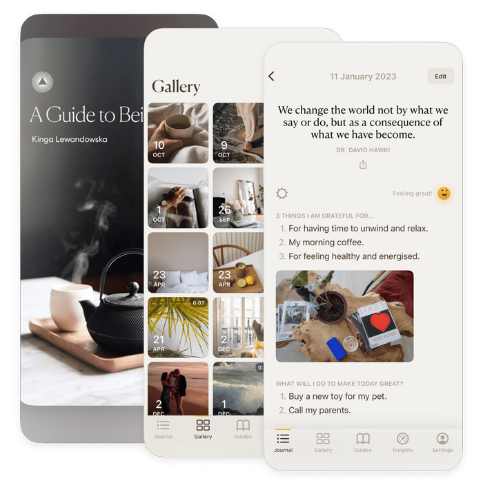 Composition of screenshots with Guides, Gallery and journal entry detail screens